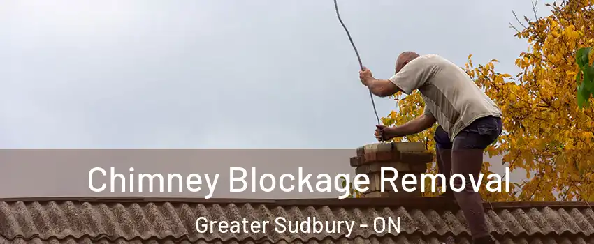  Chimney Blockage Removal Greater Sudbury - ON