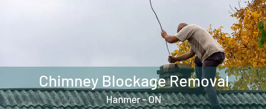  Chimney Blockage Removal Hanmer - ON