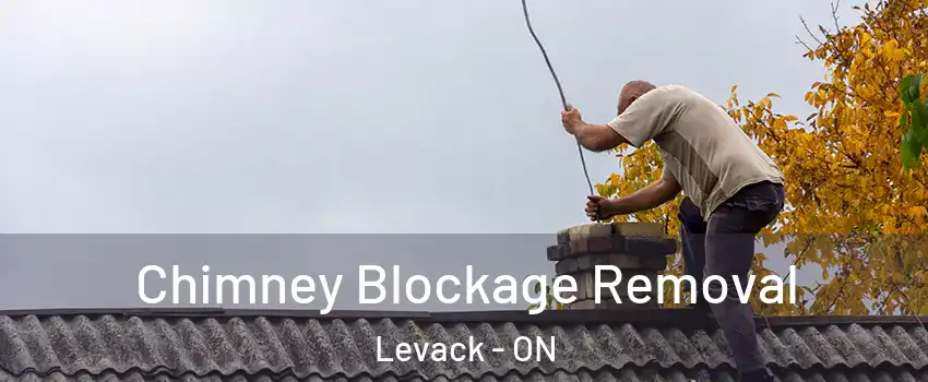  Chimney Blockage Removal Levack - ON