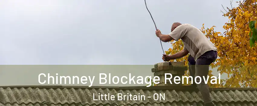  Chimney Blockage Removal Little Britain - ON