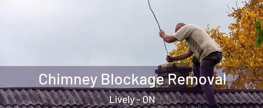  Chimney Blockage Removal Lively - ON