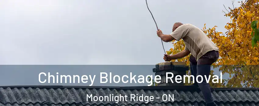  Chimney Blockage Removal Moonlight Ridge - ON