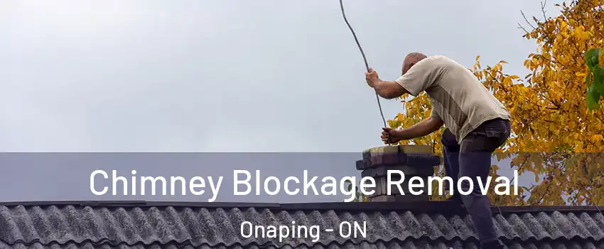  Chimney Blockage Removal Onaping - ON