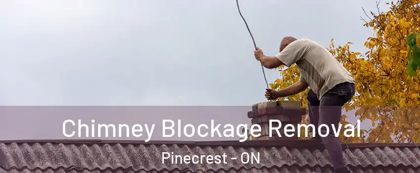  Chimney Blockage Removal Pinecrest - ON
