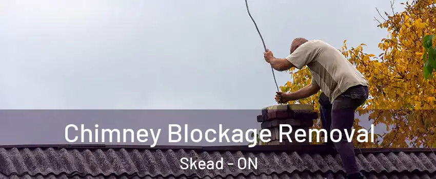  Chimney Blockage Removal Skead - ON
