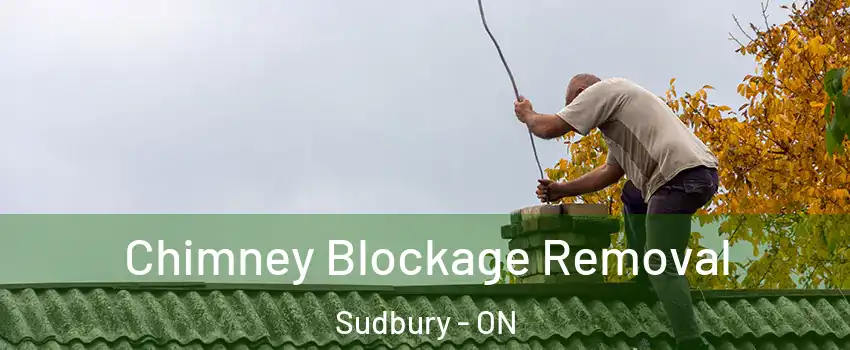  Chimney Blockage Removal Sudbury - ON