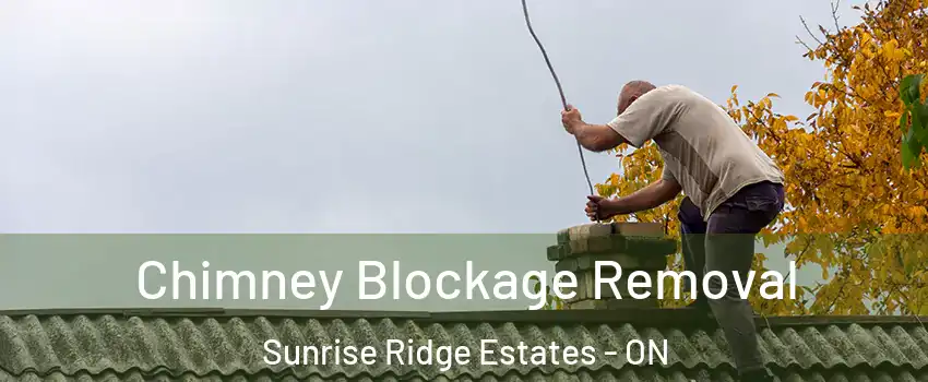  Chimney Blockage Removal Sunrise Ridge Estates - ON