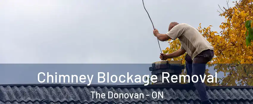  Chimney Blockage Removal The Donovan - ON