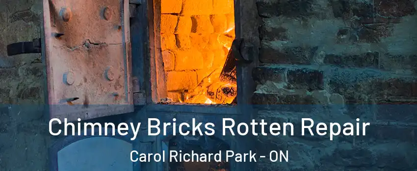 Chimney Bricks Rotten Repair Carol Richard Park - ON
