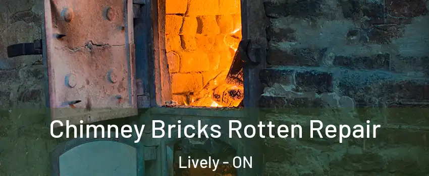  Chimney Bricks Rotten Repair Lively - ON