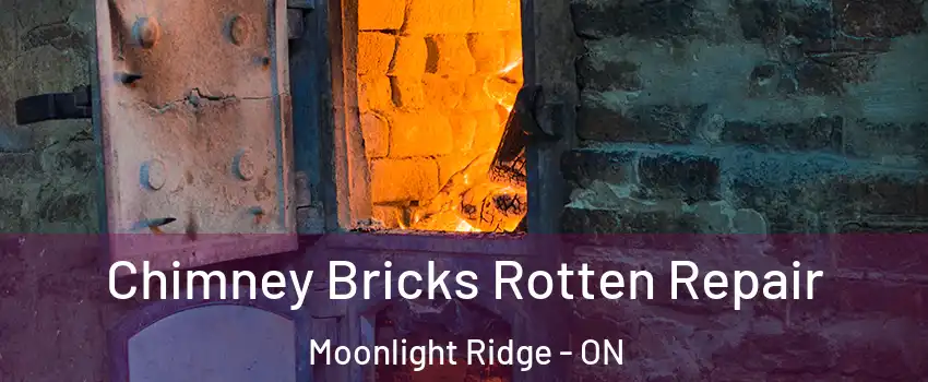  Chimney Bricks Rotten Repair Moonlight Ridge - ON