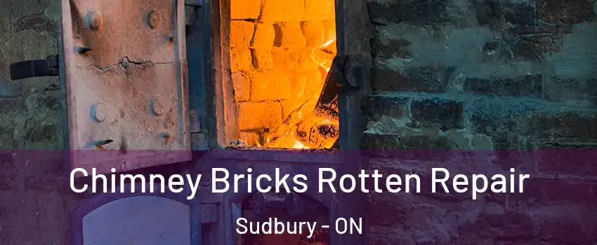  Chimney Bricks Rotten Repair Sudbury - ON