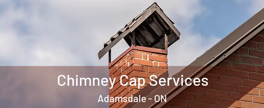  Chimney Cap Services Adamsdale - ON