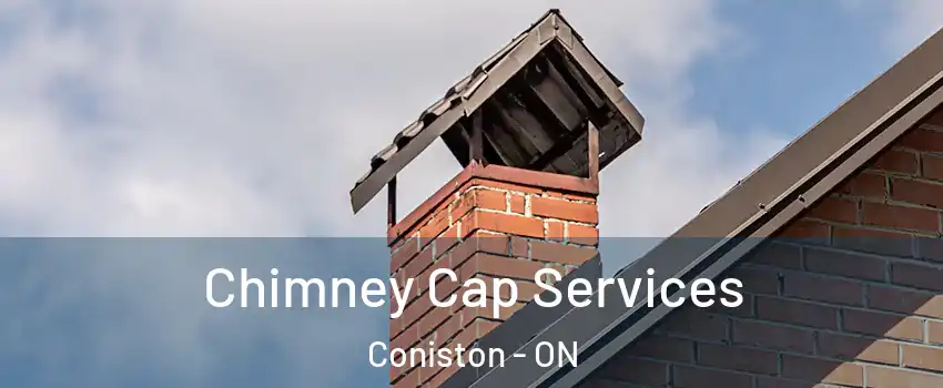  Chimney Cap Services Coniston - ON
