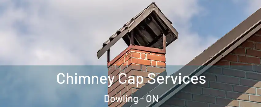  Chimney Cap Services Dowling - ON