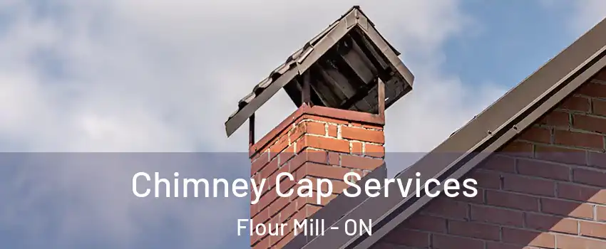  Chimney Cap Services Flour Mill - ON