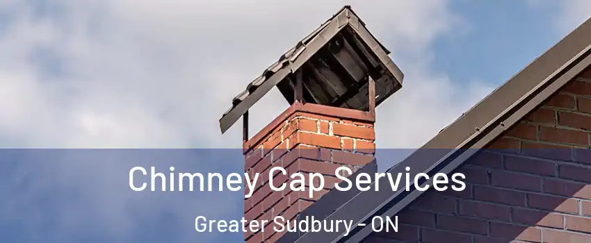  Chimney Cap Services Greater Sudbury - ON