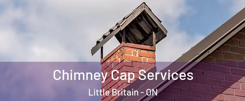  Chimney Cap Services Little Britain - ON