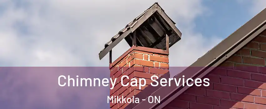  Chimney Cap Services Mikkola - ON
