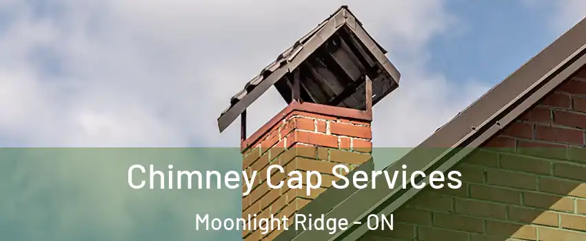  Chimney Cap Services Moonlight Ridge - ON
