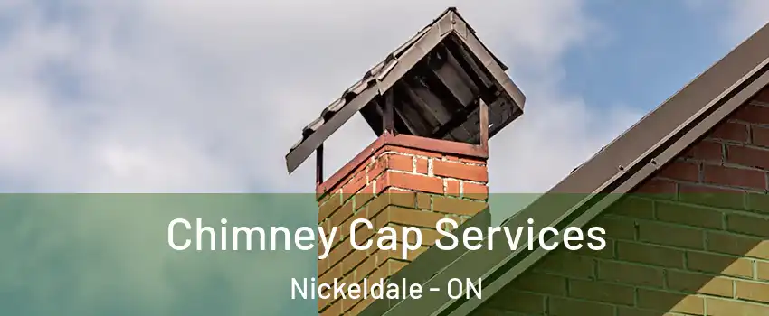  Chimney Cap Services Nickeldale - ON