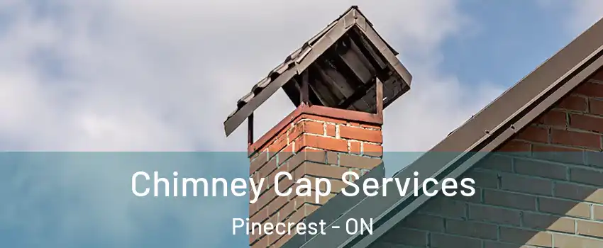  Chimney Cap Services Pinecrest - ON