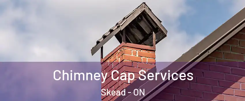  Chimney Cap Services Skead - ON