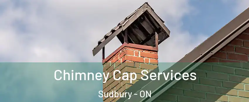  Chimney Cap Services Sudbury - ON