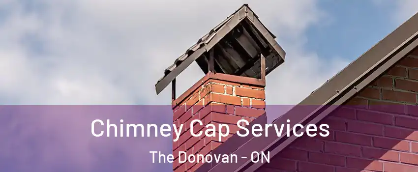  Chimney Cap Services The Donovan - ON