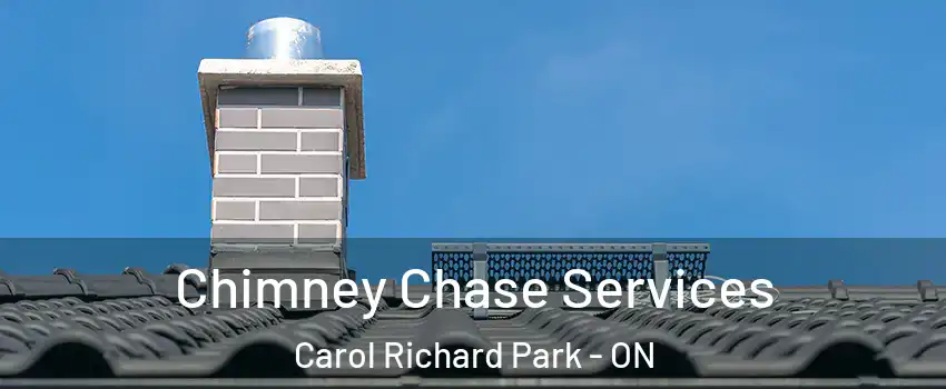  Chimney Chase Services Carol Richard Park - ON
