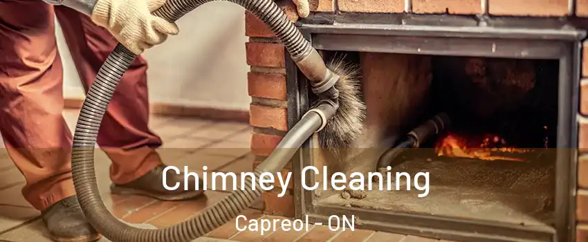  Chimney Cleaning Capreol - ON
