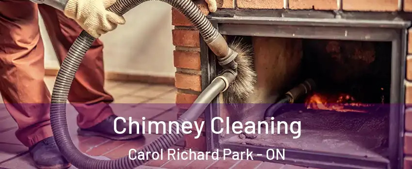  Chimney Cleaning Carol Richard Park - ON