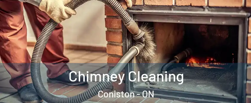  Chimney Cleaning Coniston - ON