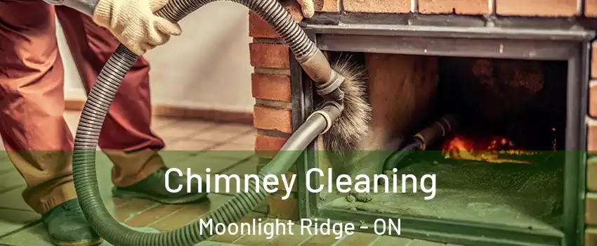  Chimney Cleaning Moonlight Ridge - ON