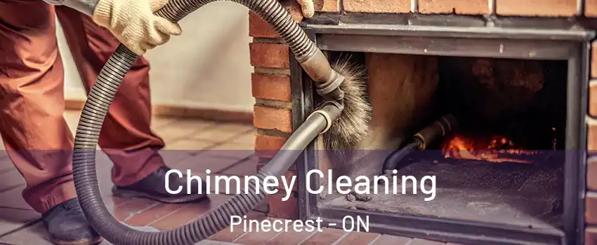  Chimney Cleaning Pinecrest - ON