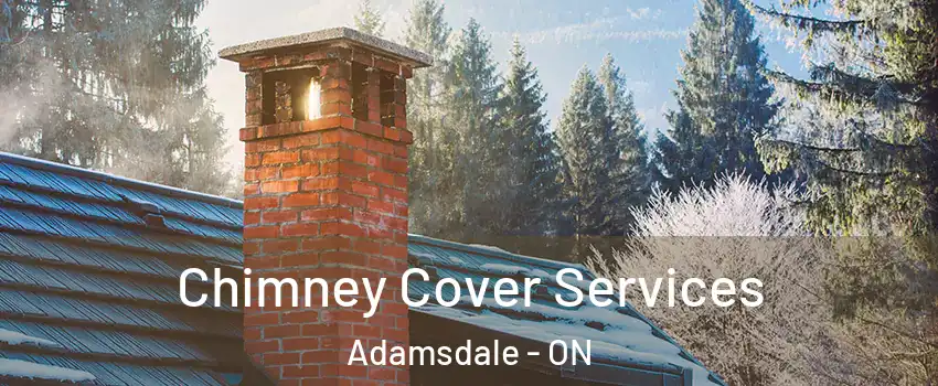  Chimney Cover Services Adamsdale - ON