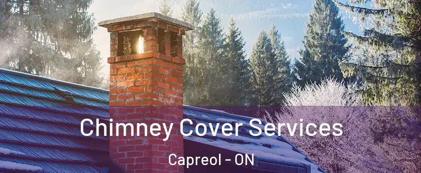 Chimney Cover Services Capreol - ON