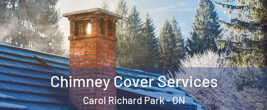  Chimney Cover Services Carol Richard Park - ON