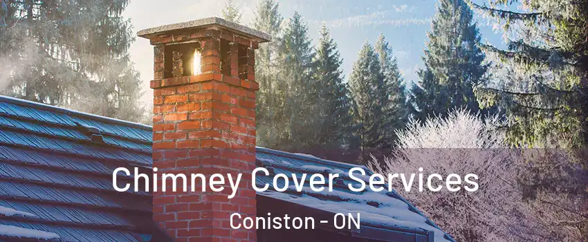 Chimney Cover Services Coniston - ON