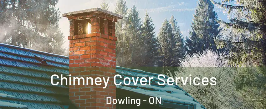  Chimney Cover Services Dowling - ON