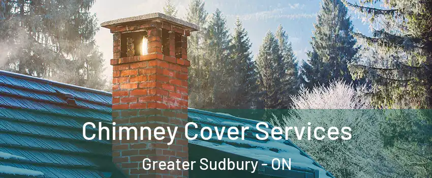  Chimney Cover Services Greater Sudbury - ON