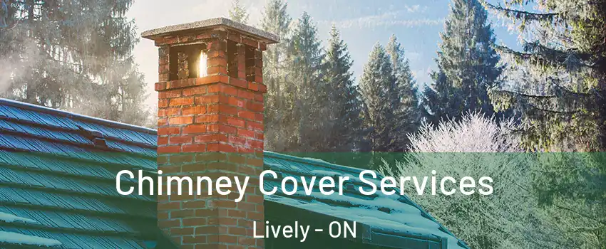  Chimney Cover Services Lively - ON