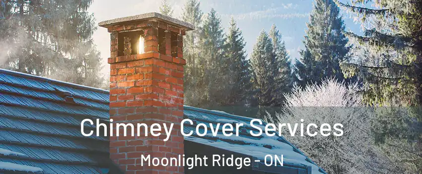  Chimney Cover Services Moonlight Ridge - ON