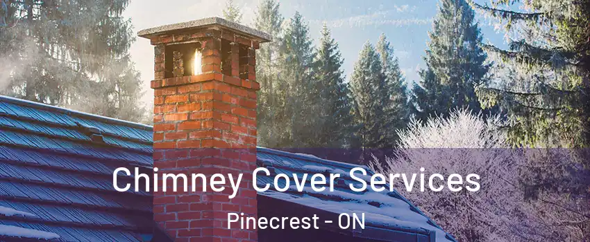  Chimney Cover Services Pinecrest - ON