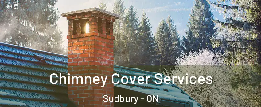  Chimney Cover Services Sudbury - ON