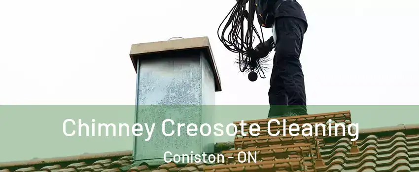  Chimney Creosote Cleaning Coniston - ON