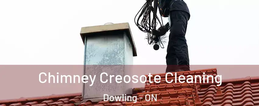  Chimney Creosote Cleaning Dowling - ON