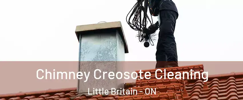  Chimney Creosote Cleaning Little Britain - ON
