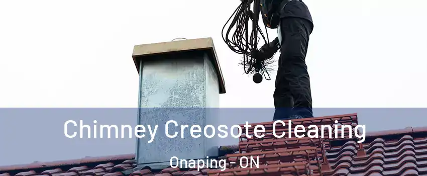  Chimney Creosote Cleaning Onaping - ON
