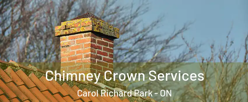  Chimney Crown Services Carol Richard Park - ON